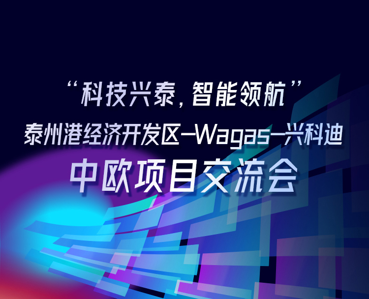 Technical Exchange Meeting on China-Europe Projects by Taizhou Port Economic Development Zone, WAGAS Group & Sincode Group